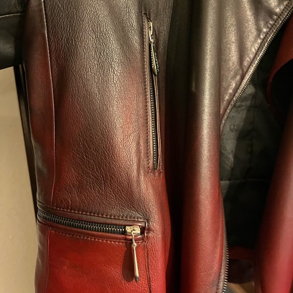 Cuadra brand, Leather, XL - Picture 6 of 7